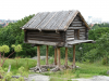 картинка Villi_Lapsi