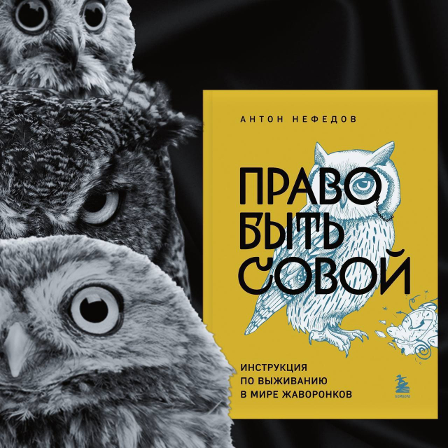 картинка Visto