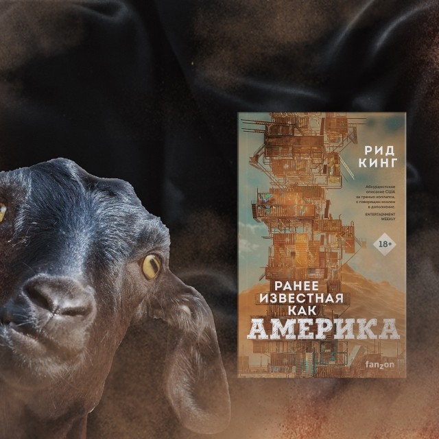 картинка Visto