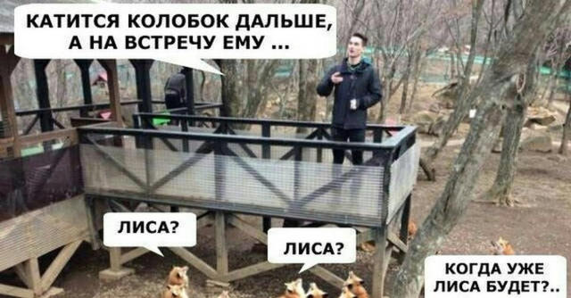 картинка Wanderer-r