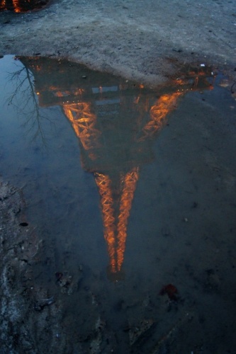 картинка WickedWitch