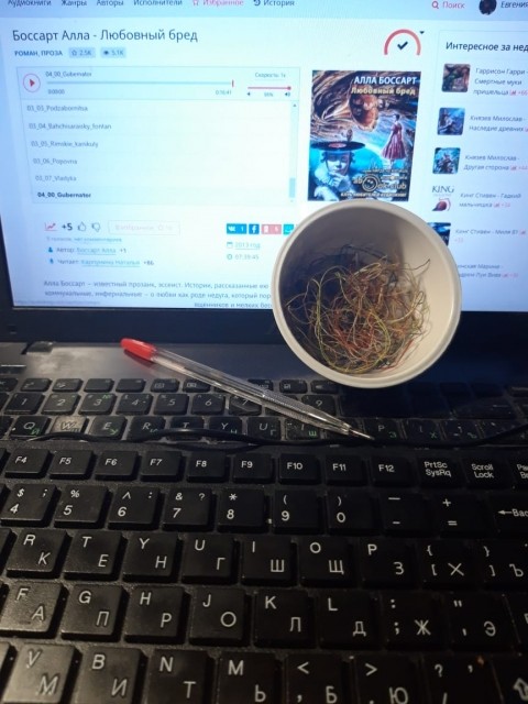 картинка WigfallSweirt