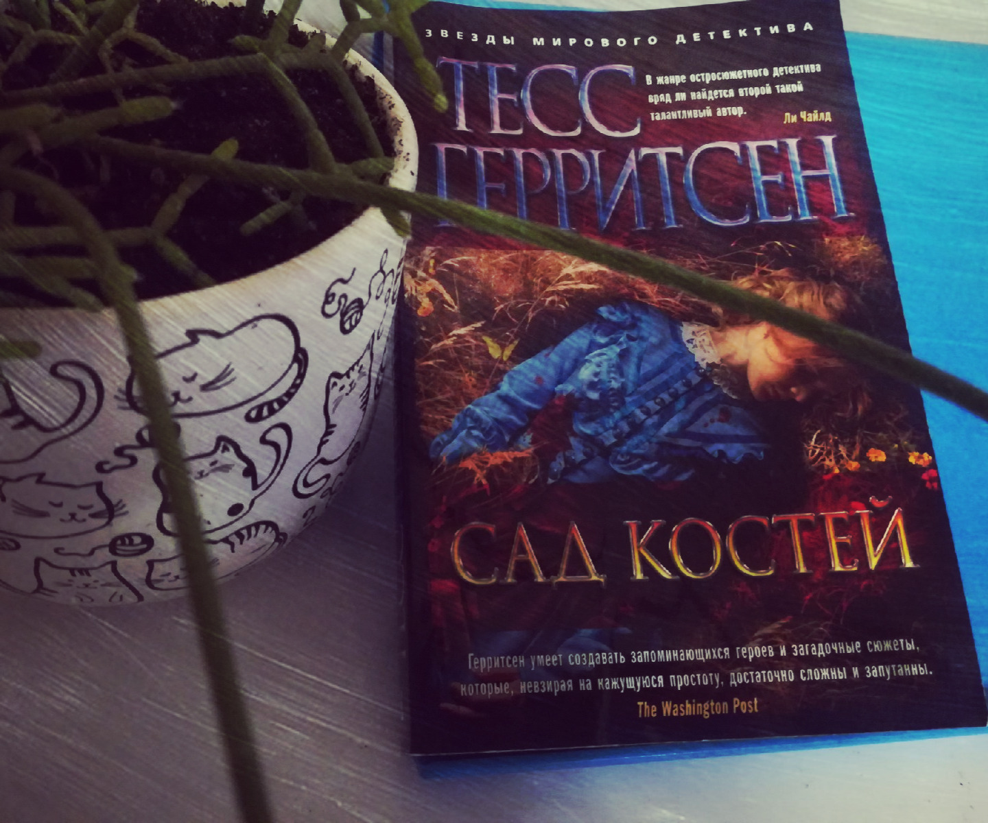 Книги костя. Тесс Герритсен 