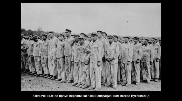 картинка Zhenya_1981