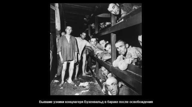 картинка Zhenya_1981