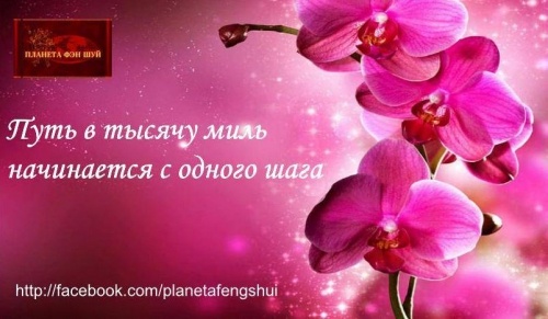 картинка ZhuldyzAbdikerimova