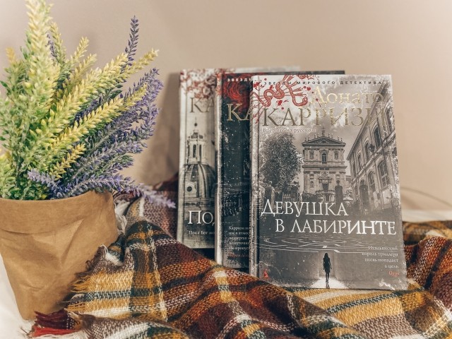 картинка Zig_book