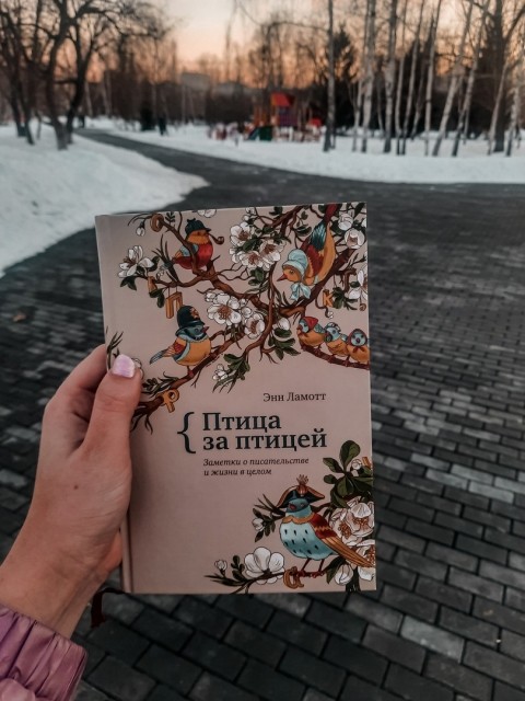 картинка __fudo__
