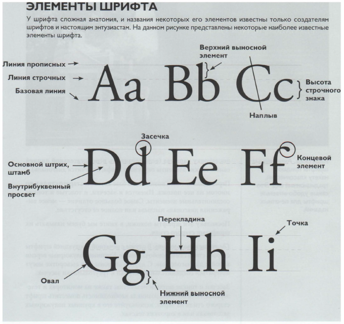 Шрифт это выберите ответ. Анатомия шрифта и элементы. Элементы шрифта названия. Типографика анатомия шрифта. Основные элементы шрифта.