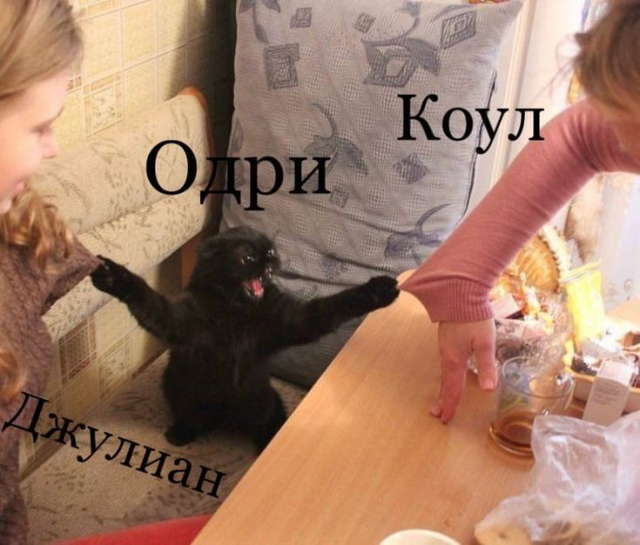 o-r.jpg