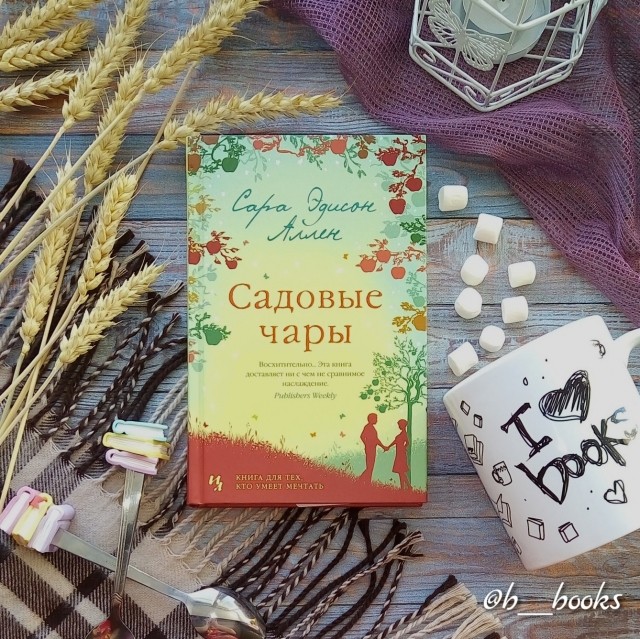 картинка b__books