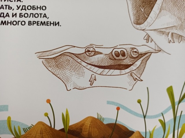 samye_strannye_zhivotnye_7