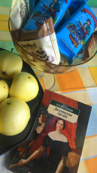 картинка beverli