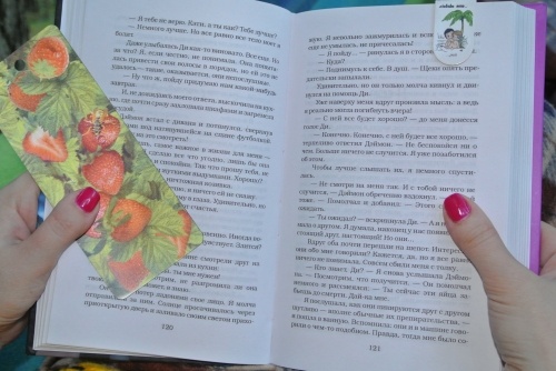 картинка beverli