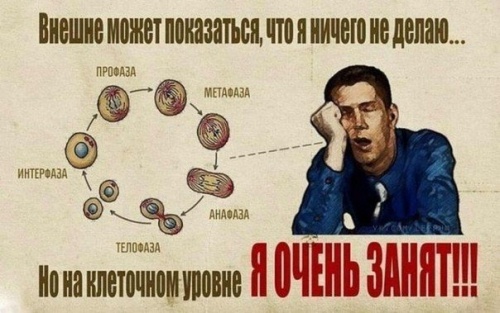 картинка bianco