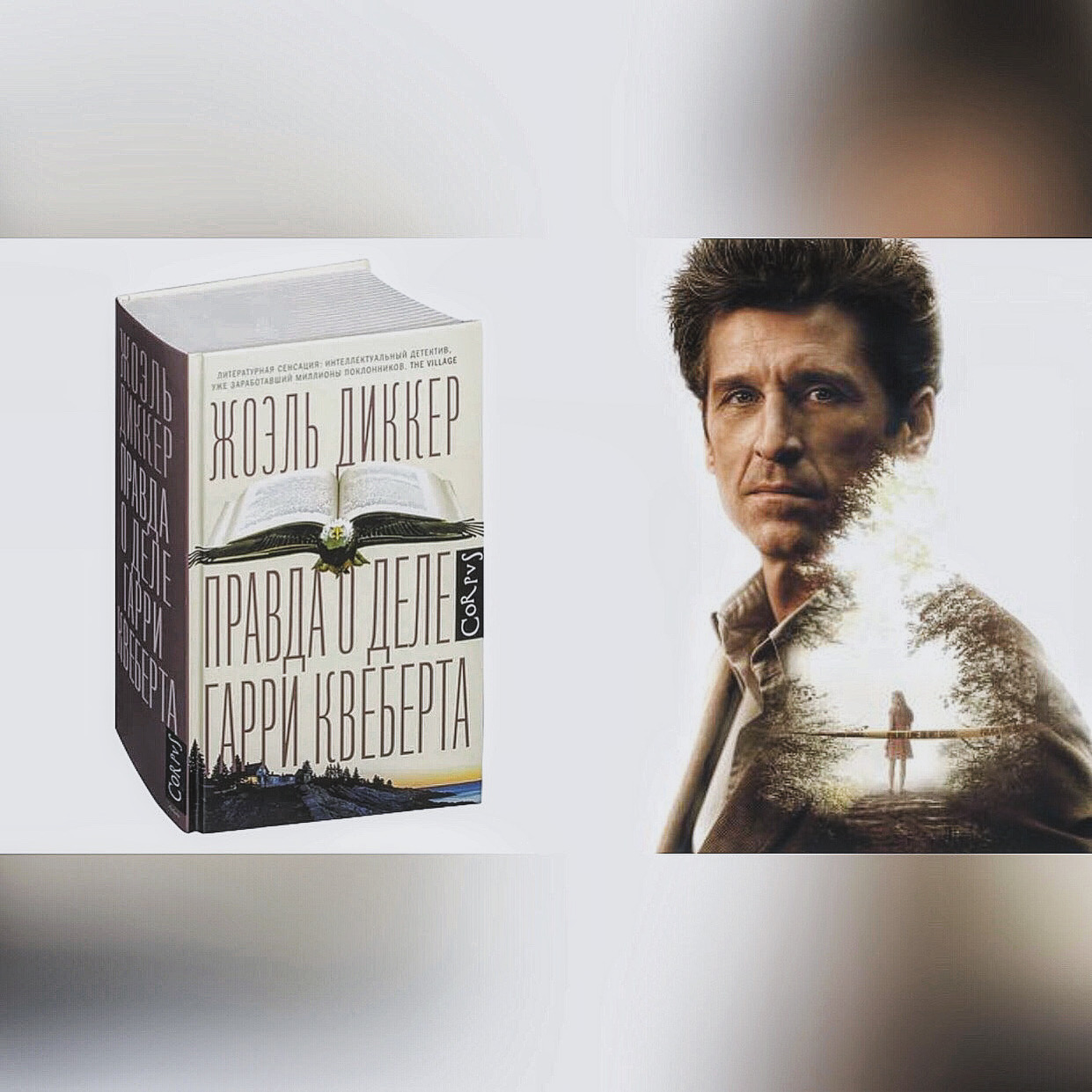 Гарри Квеберта Книга Купить