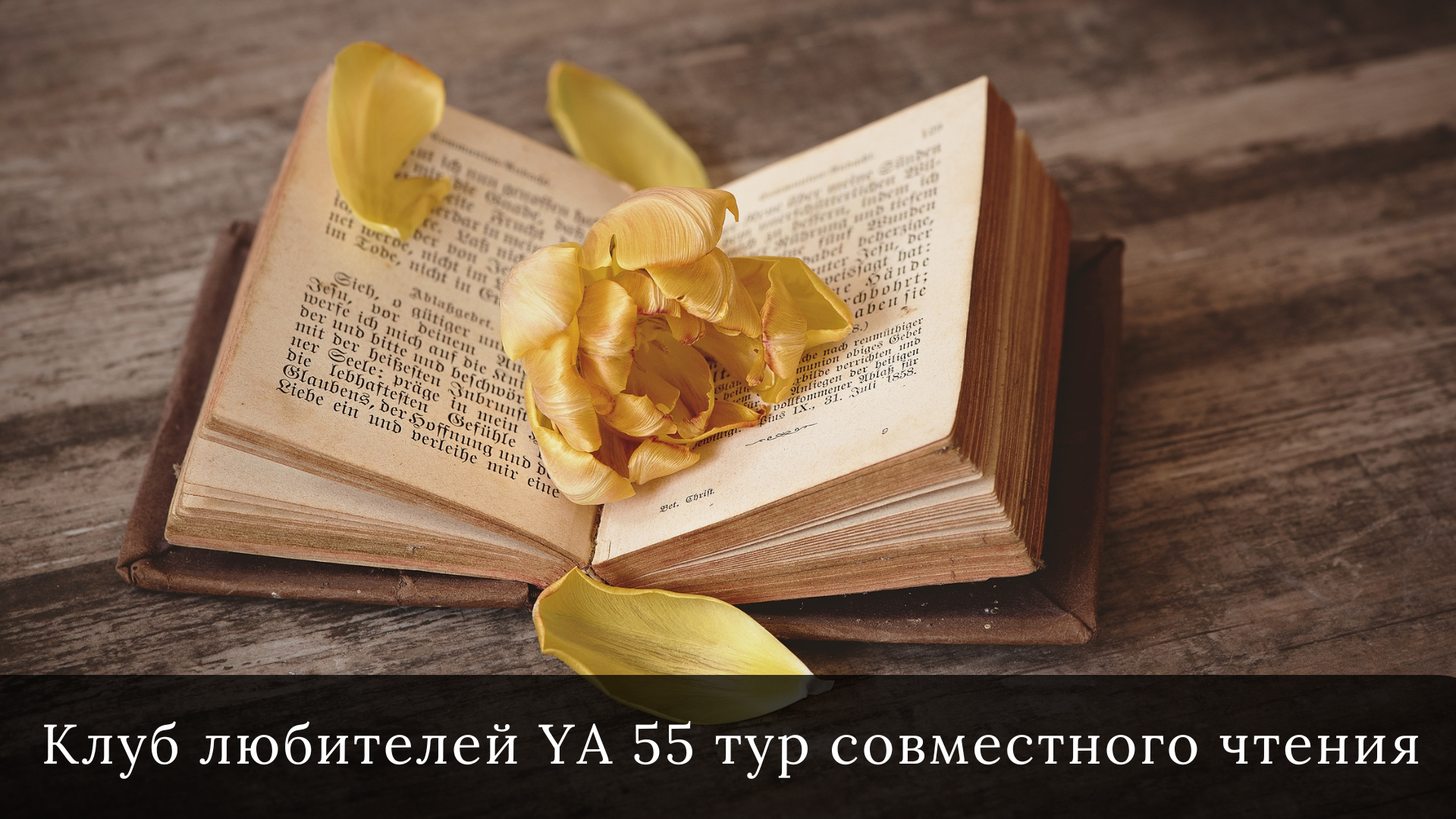 Прием советов в 55 (ТЕМАТИЧЕСКОМ) туре совместного чтения клуба любителей  Young Adult — 19 книг