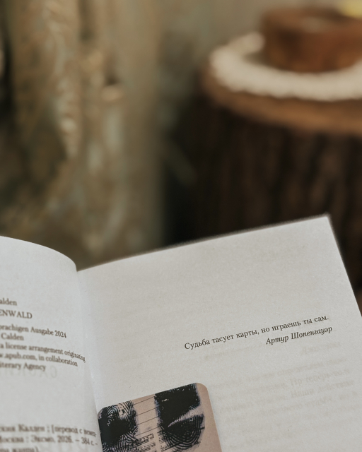 картинка booklover_sveta