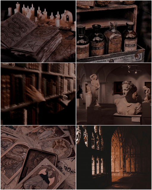 картинка booklover_sveta