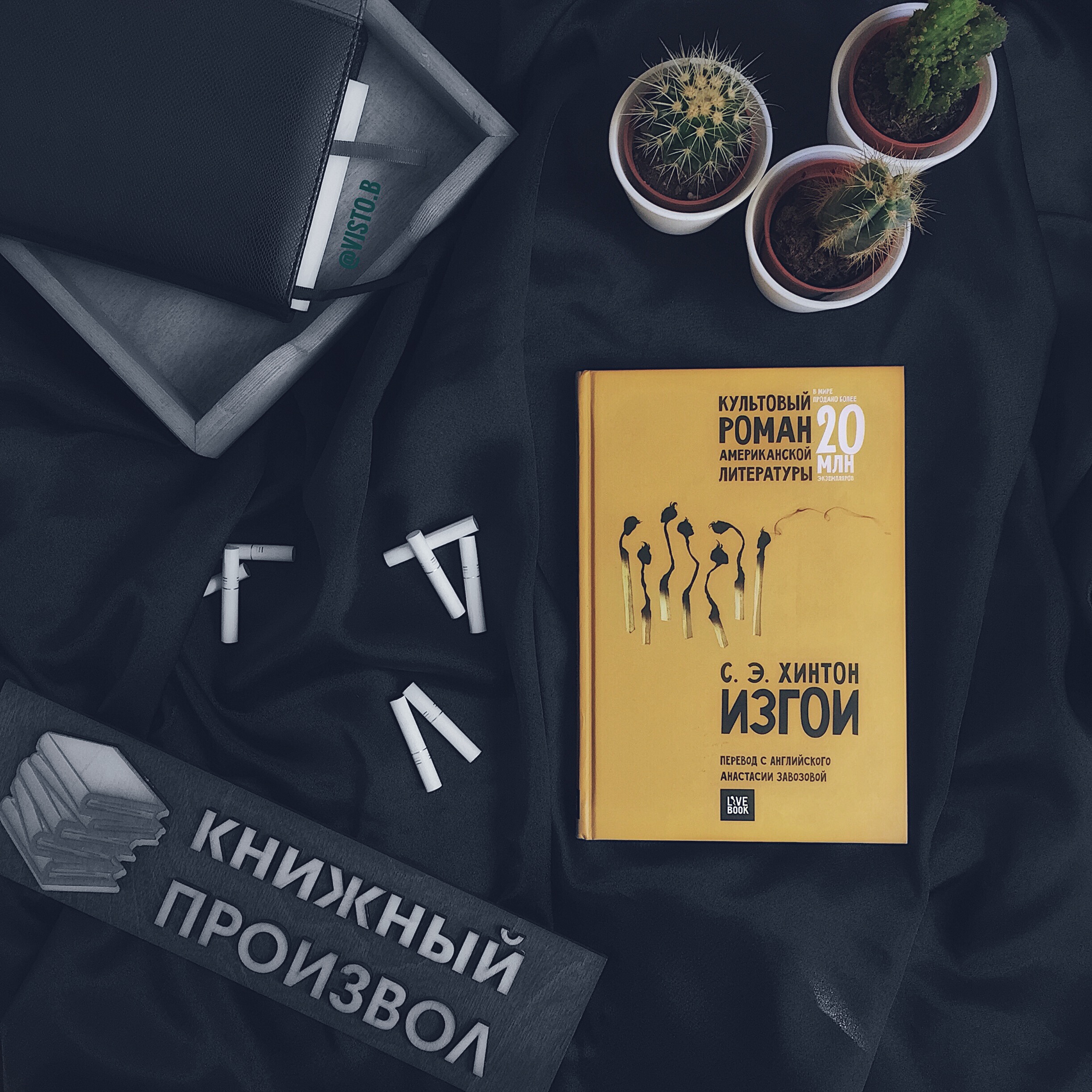 Изгои книга хинтон. Сьюзен Хинтон изгои. Книга изгои описание. Книга Изгой рецензия. Изгои Хинтон содержание.