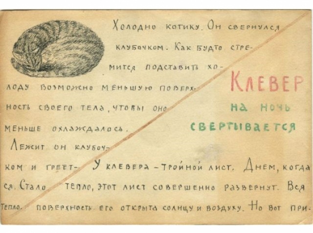картинка boris_alihanov