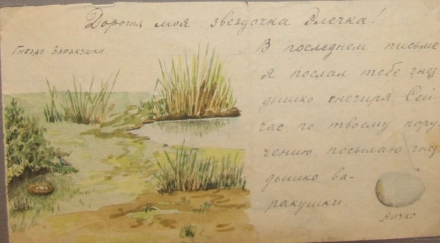 картинка boris_alihanov