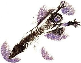 1106