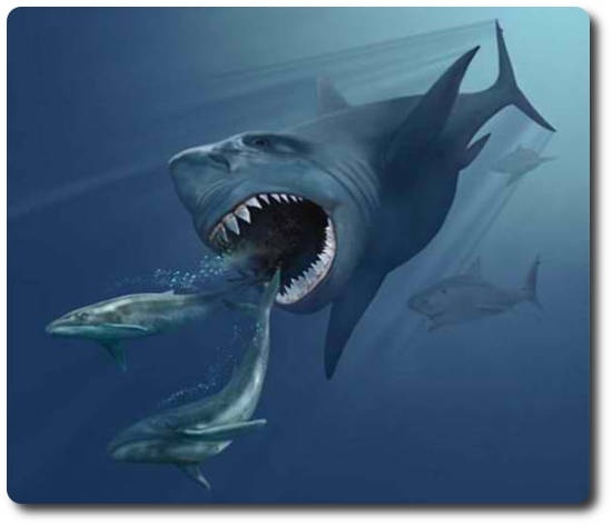 Carcharodon Megalodon- самая крупная акула в истории, взрослые особи около 30 метров.