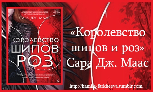 Королевство шипов и роз карта