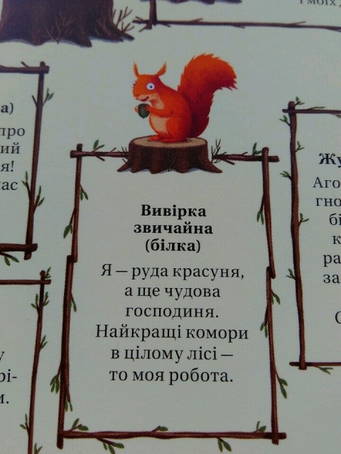 картинка crazy_squirrel