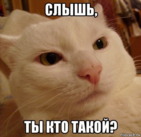 картинка darinakh