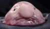 картинка dearmanya