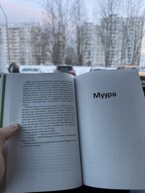 картинка decitona