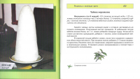 картинка dima889