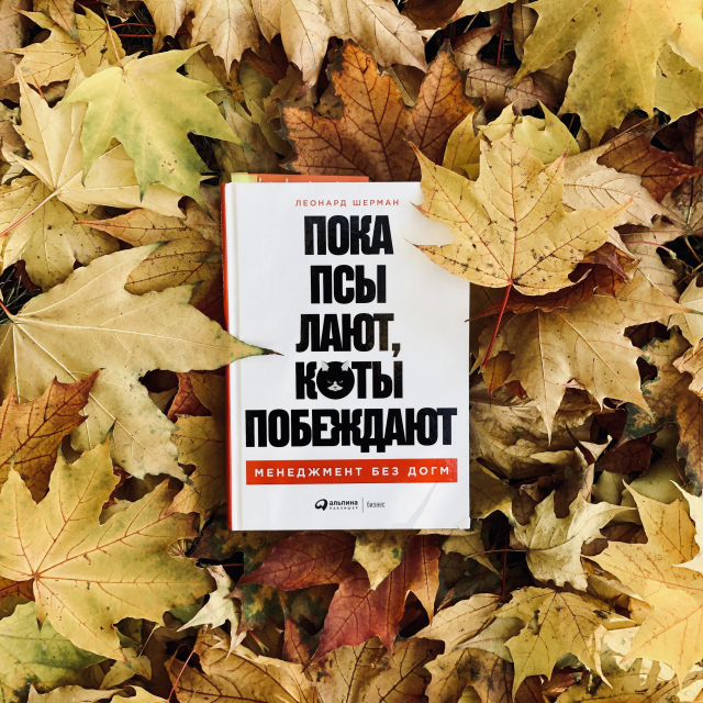 картинка dima_cheshire