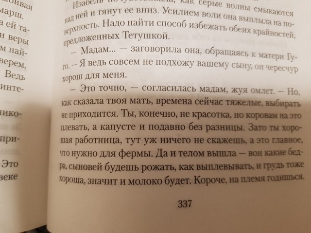 картинка divinity2019