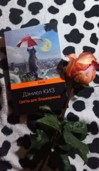 картинка e-katerinas