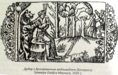 картинка elefant