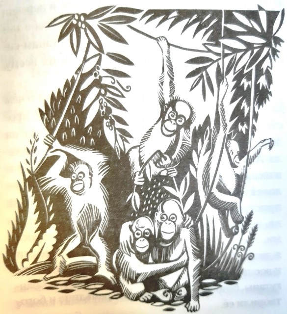 картинка elefant