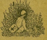 картинка elenaecho