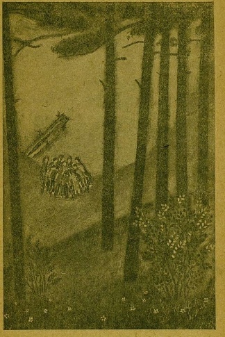 картинка elenaecho