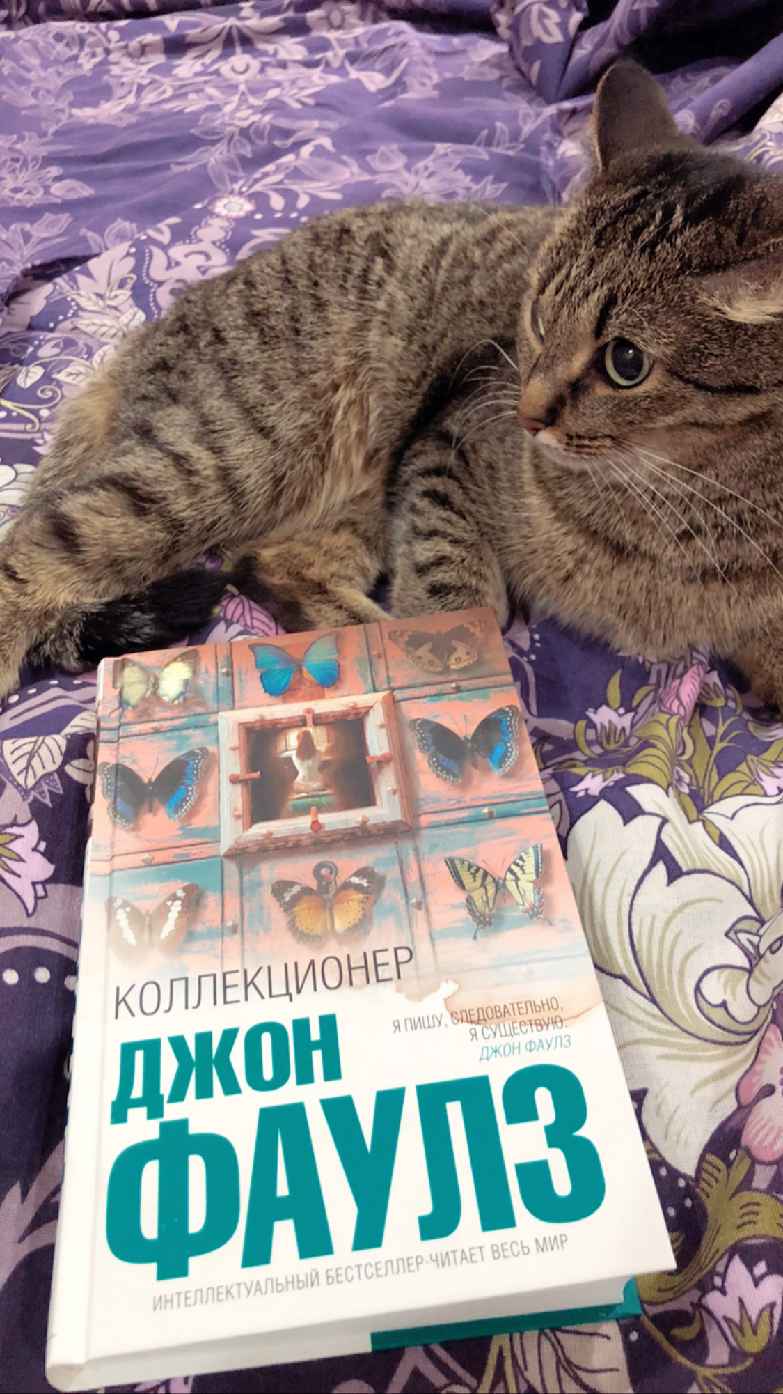 коллекционер детектив крига фаулз. коллекционер книга отзывы. книга д. джон фаулз коллекционер обложка. коллекционер книга отзывы.