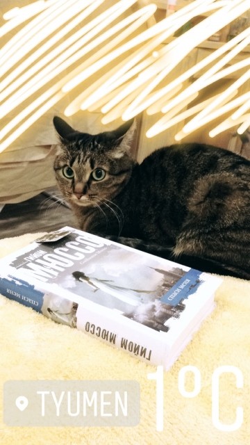 картинка elnastya-13