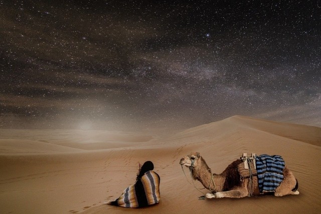 Ночь в пустыне