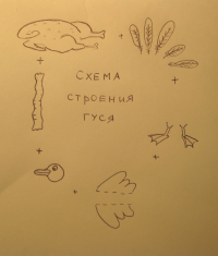 картинка eugene-grande