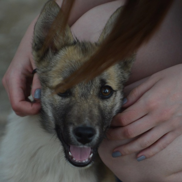 картинка febs