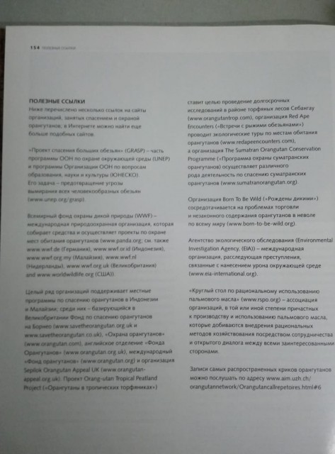 картинка goramyshz