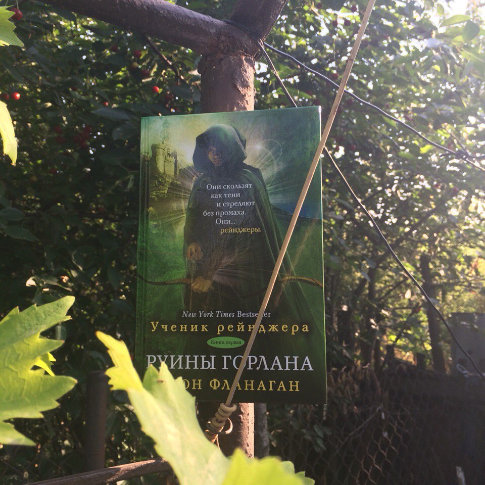 фланаган джон руины горлана