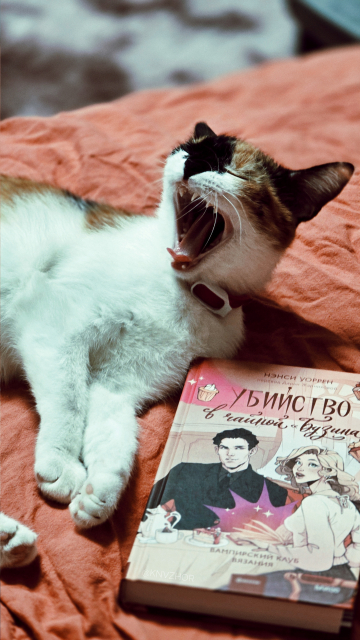 картинка imoogii
