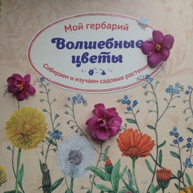 ВОЛШЕБНЫЕ ЦВЕТЫ МОЙ ГЕРБАРИЙ СКАЧАТЬ БЕСПЛАТНО ВОЛШЕБНЫЕ ЦВЕТЫ МОЙ ГЕРБАРИЙ СКАЧАТЬ БЕСПЛАТНО
